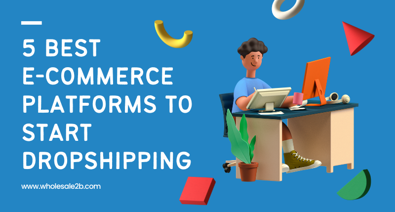 5 Best eCommerce Platforms to Start Dropshipping